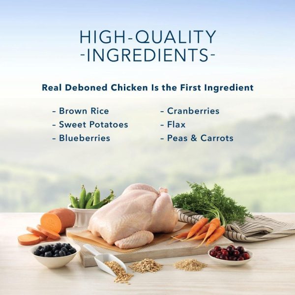 Blue Buffalo Indoor Health Natural Chicken & Brown Rice Adult Dry Cat Food Online Hot Sale