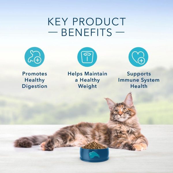 Blue Buffalo Indoor Health Natural Chicken & Brown Rice Adult Dry Cat Food Online Hot Sale