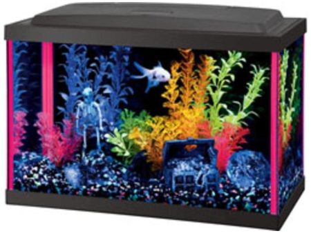 AQUEON NEOGLOW LED AQUARIUM KIT RECTANGLE Online now